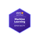 AWS Machine Learning Specialist